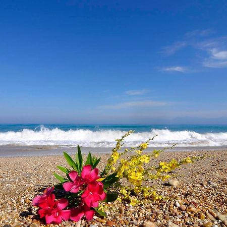 Almyra Beach House Corfu Almiros Beach Exteriér fotografie