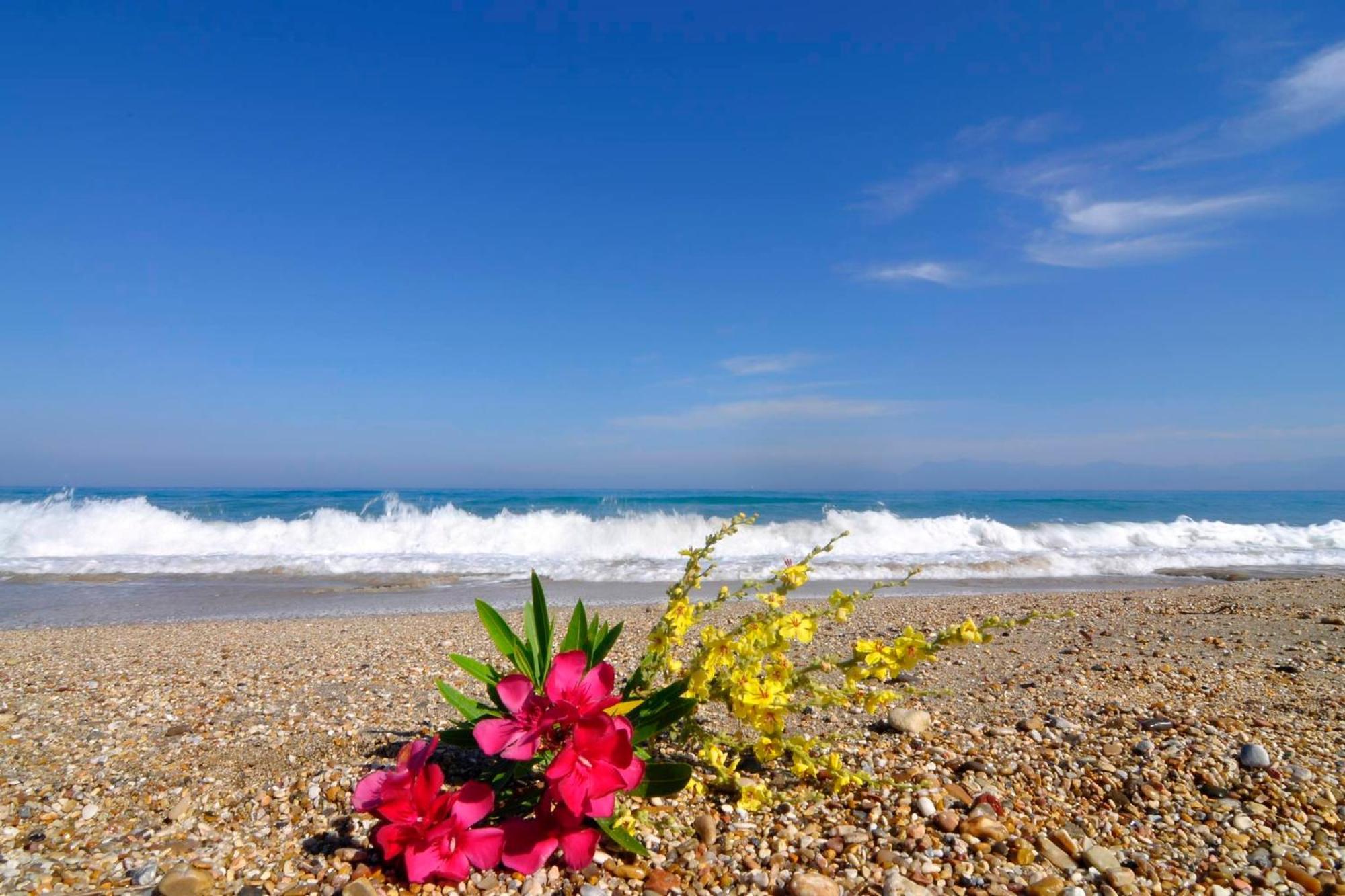 Almyra Beach House Corfu Almiros Beach Exteriér fotografie